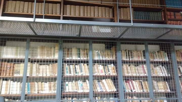 Dia internacional de