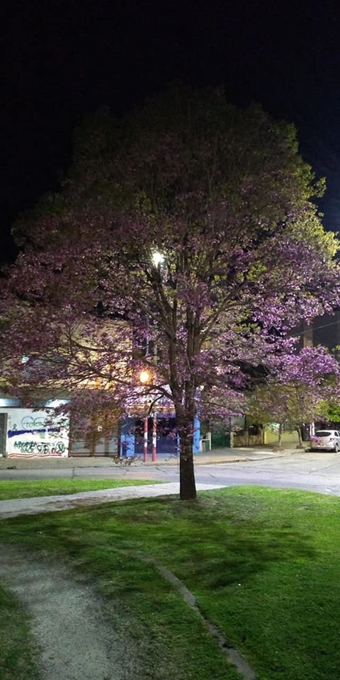 Feliz Dia ciudad de La Plata