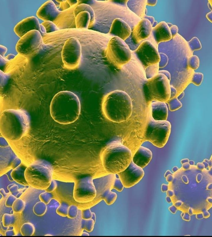 EL CÍRCULO DE PERIODISTAS SUSPENDE ACTIVIDADES CON PÚBLICO